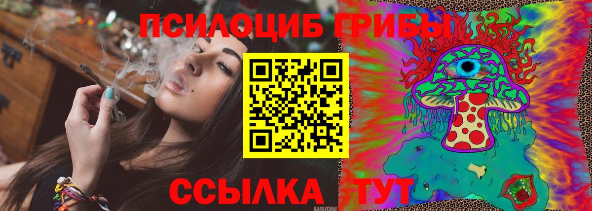 Тавда  Псилоцибиновые грибы Psilocybine cubensis  Вход с VPN 